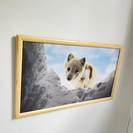 Feelsenja House Gryllefjord