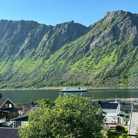 Feelsenja House 度假居 Gryllefjord